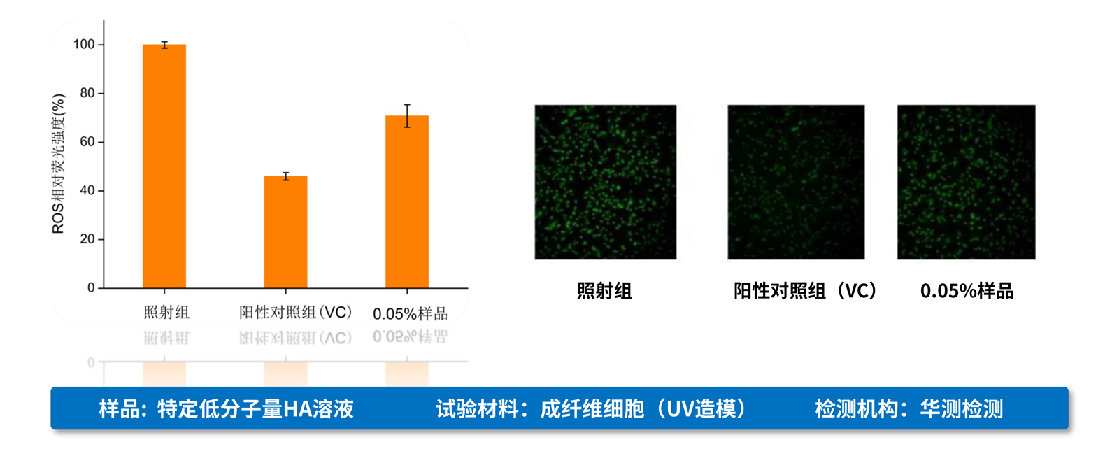 弘康未來-產品介紹2024-22.jpg