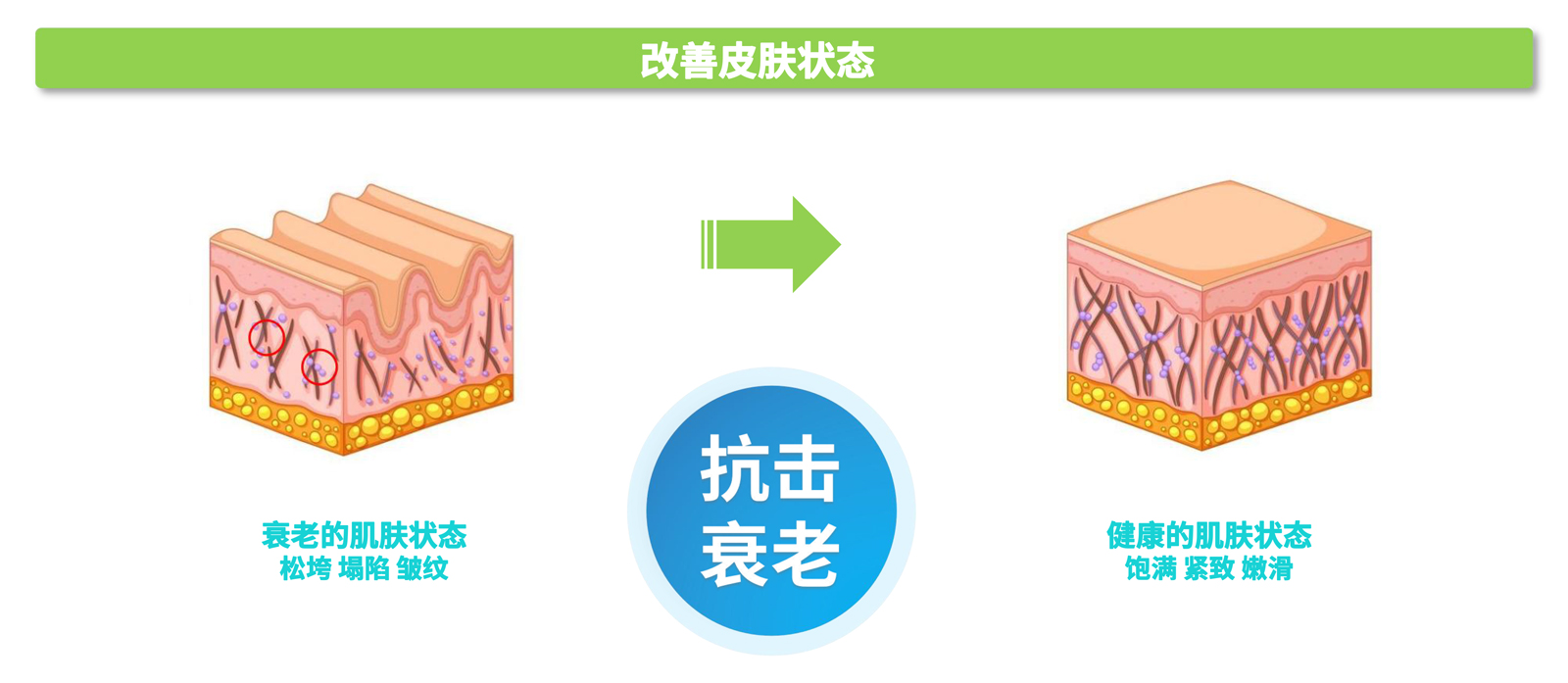 弘康未來-產品介紹2024-25.jpg