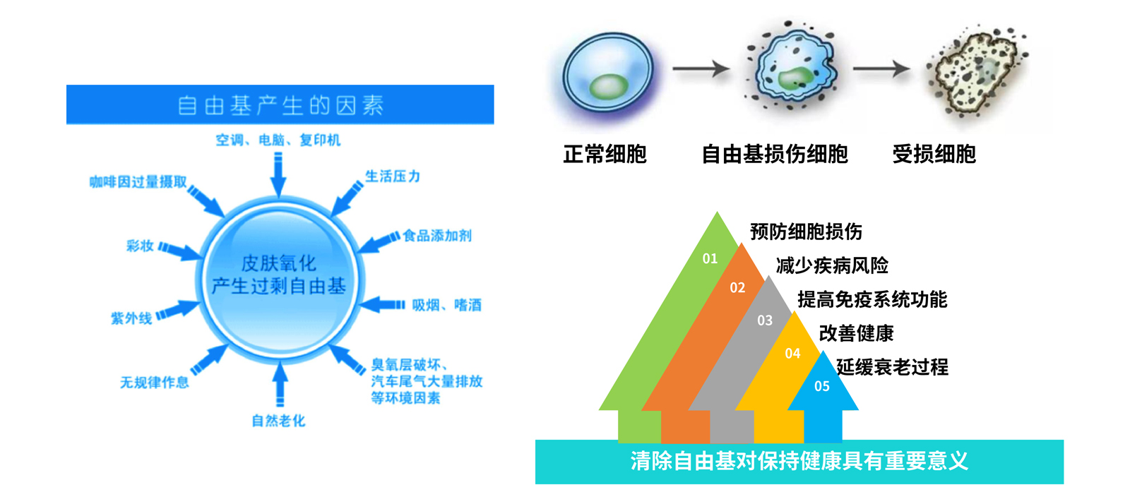 弘康未來-產品介紹2024-23.jpg