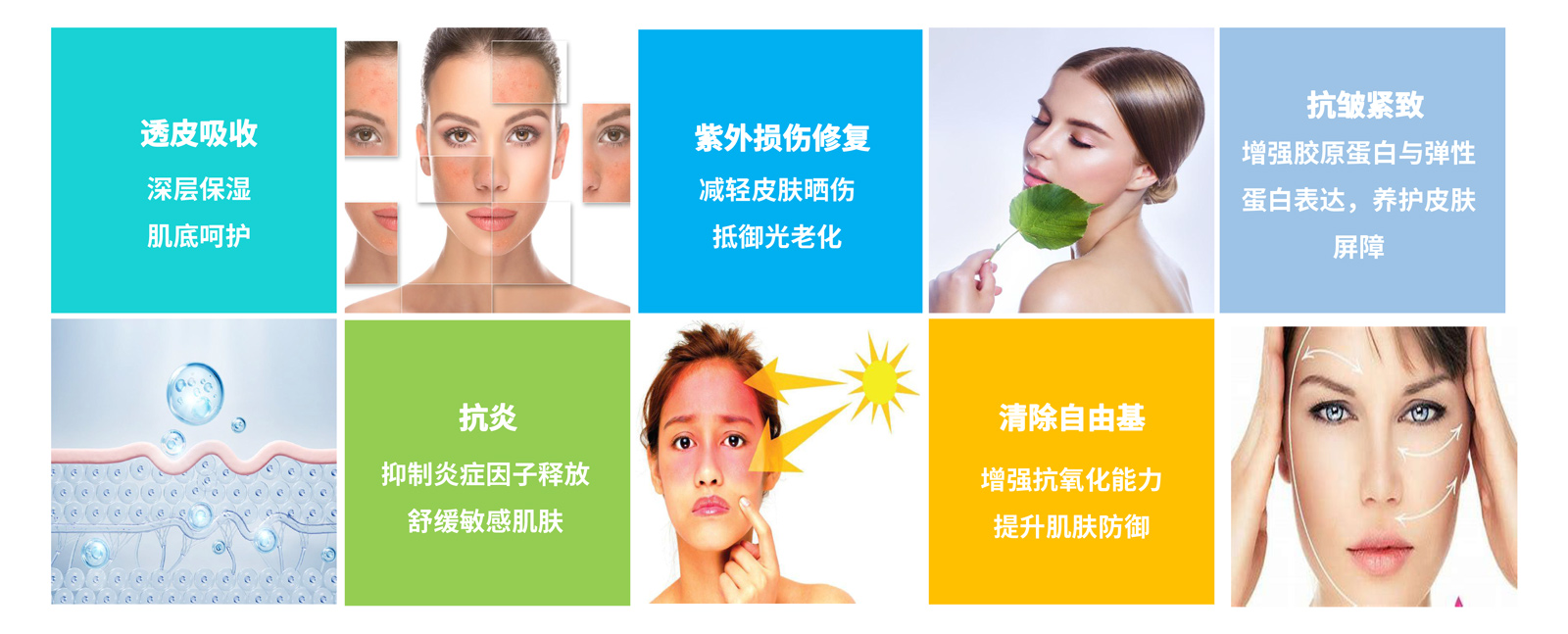 弘康未來-產品介紹2024-15.jpg