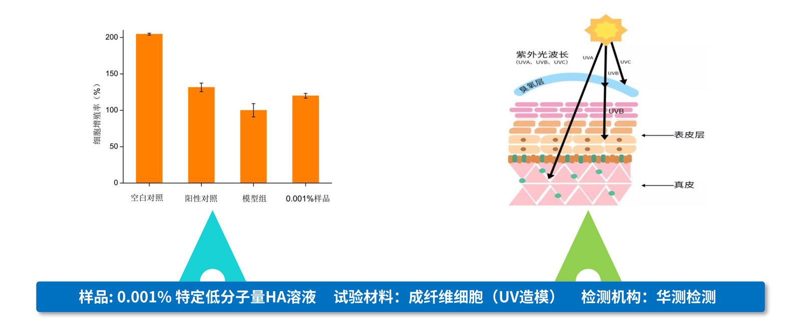 弘康未來-產品介紹2024-20.jpg