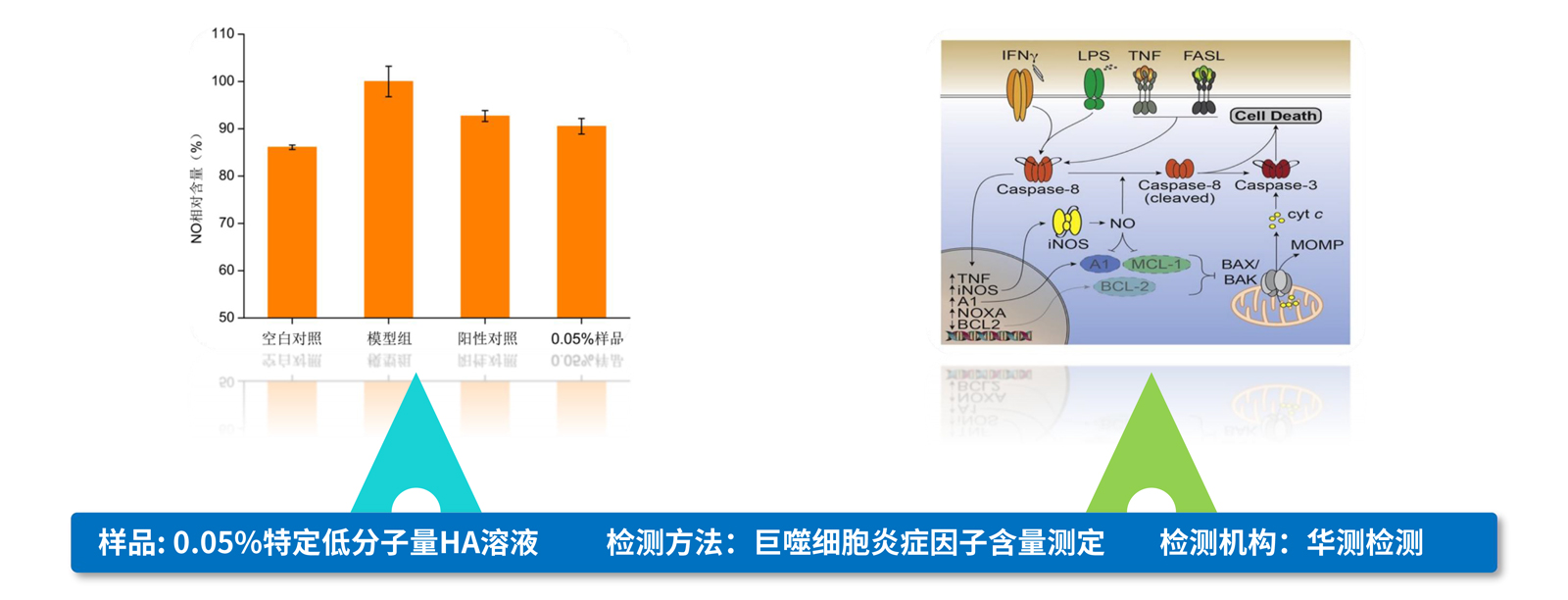 弘康未來-產品介紹2024-18.jpg