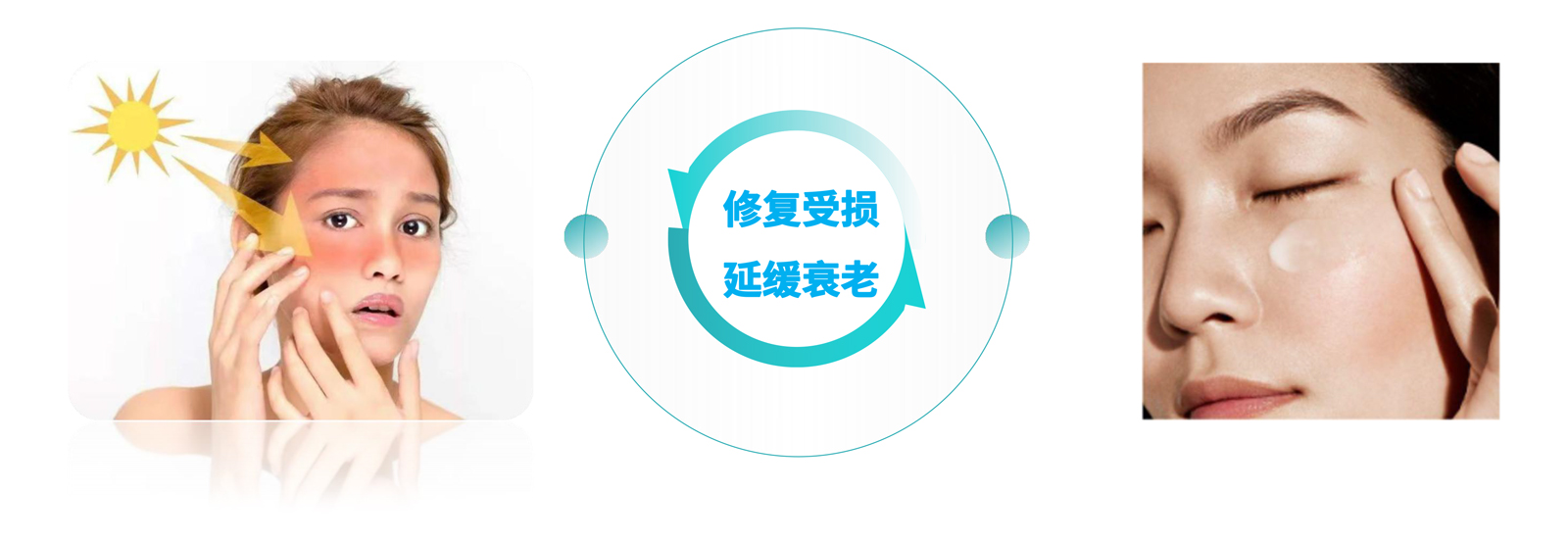弘康未來-產品介紹2024-21.jpg